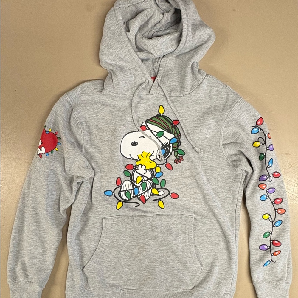 Peanuts Gray Hoodie with Snoopy and Woodstock
